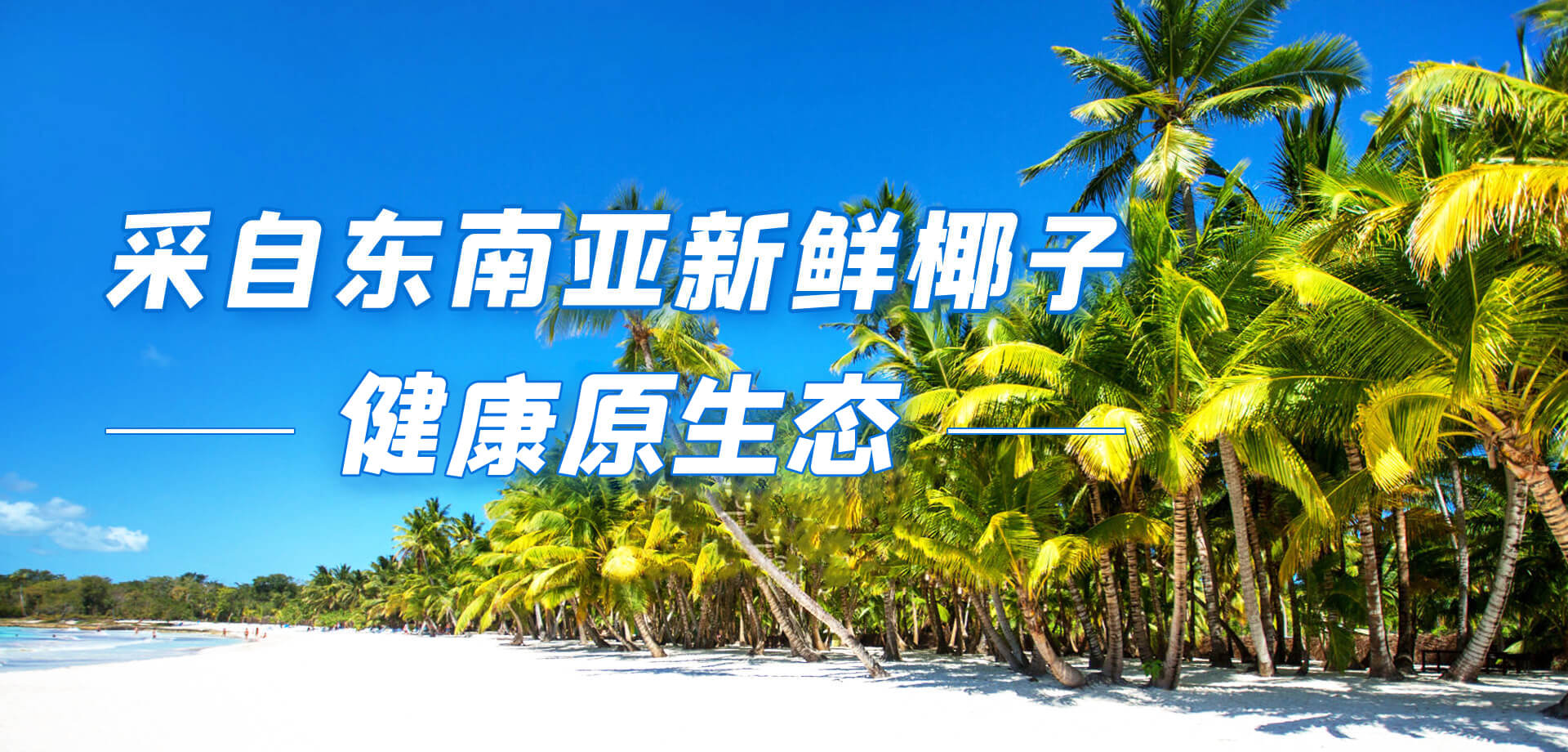 清藍banner